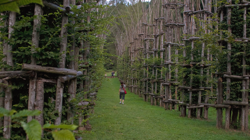 Illustration for article titled Behold These Incredible Works Of Architecture Made Out Of Living Trees